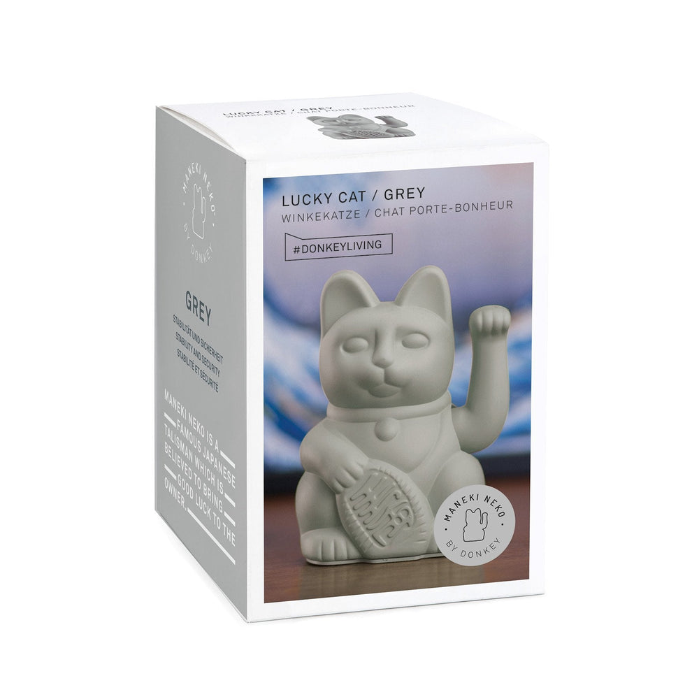 Gato gris afortunado