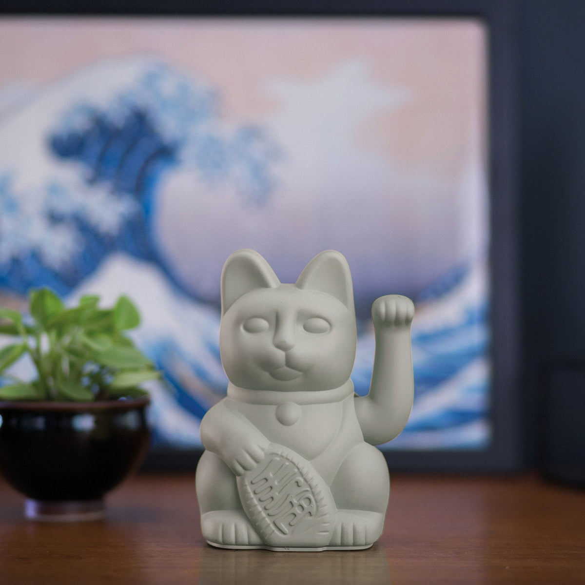 Gato gris afortunado