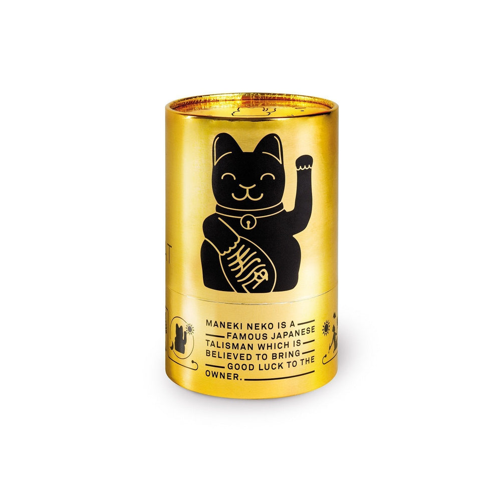 Chat Chanceux Noir Glossy