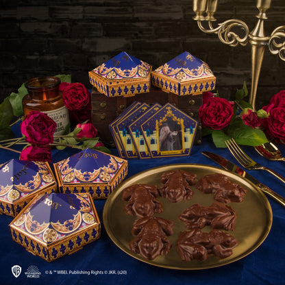Moule à Chocogrenouilles + 12 cartes magiques + 6 boîtes Chocogrenouille (nouvelle édition)