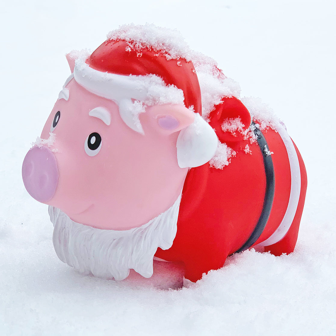 Papai Noel porco