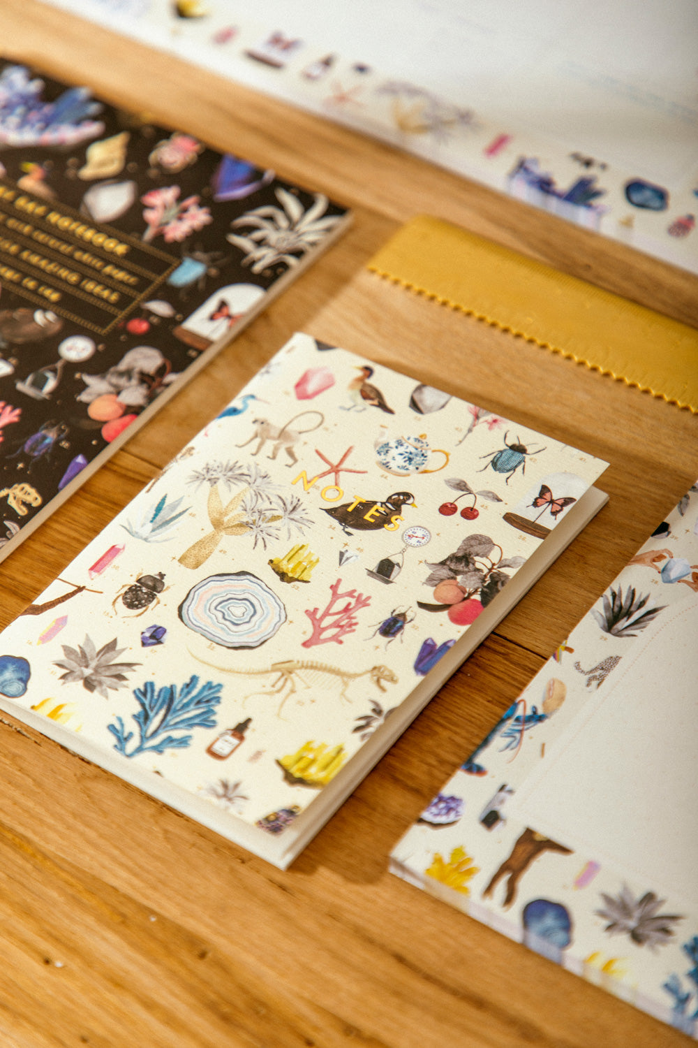 Curiosity - Duo de Carnets de Poche A6