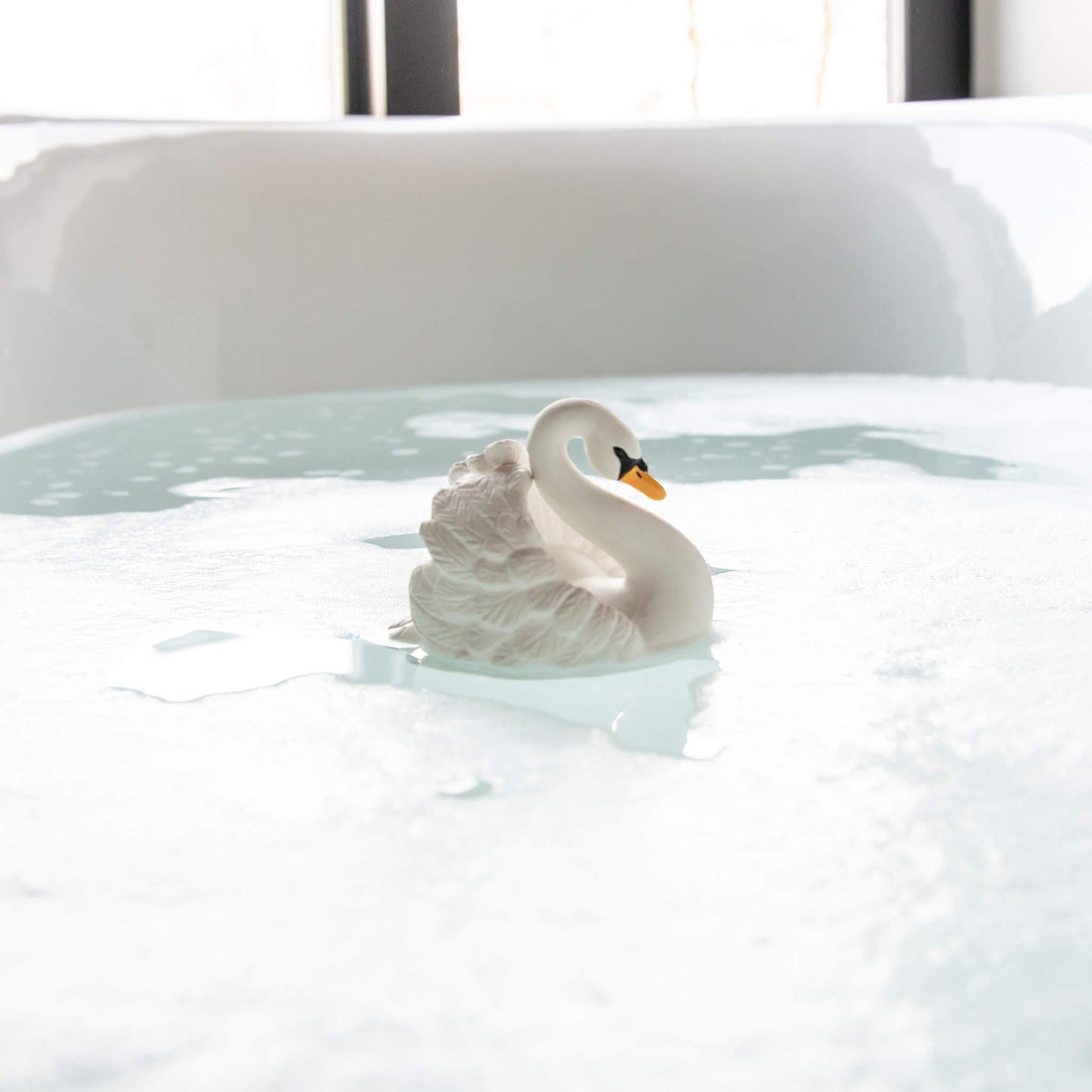 Cygne de Bain