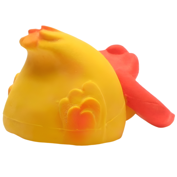 Canard en plongée