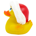 Pato de capuz de Natal