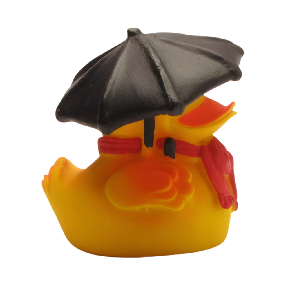 Canard Temps de Pluie