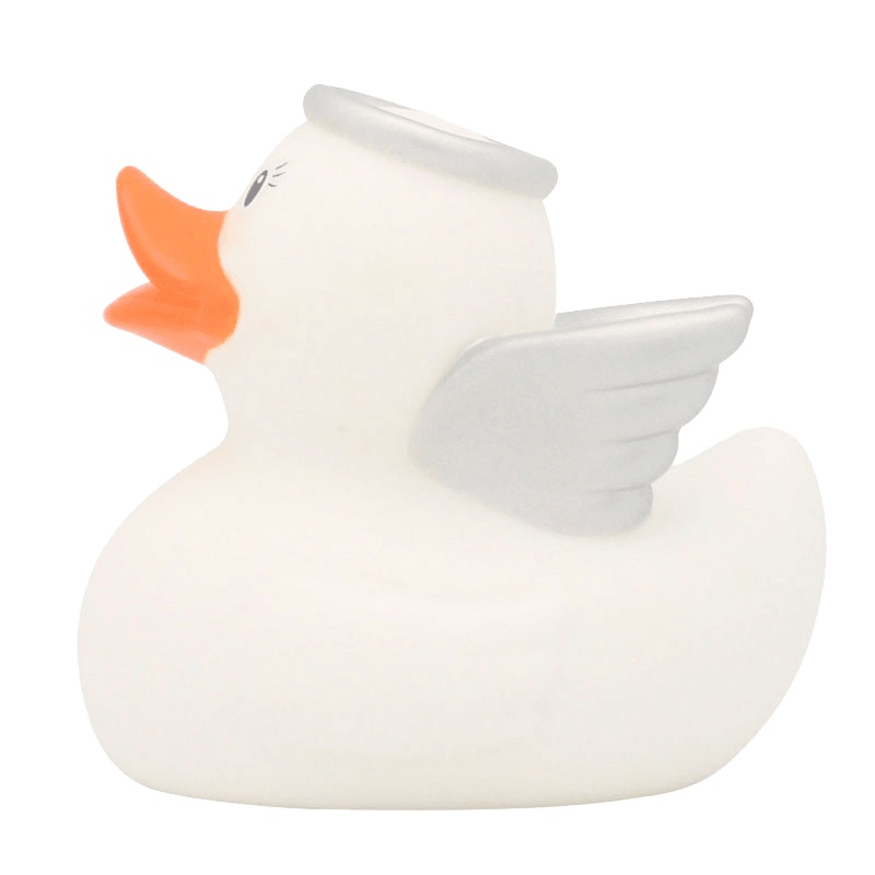 Pato de anjo branco
