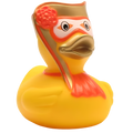 Pato, Carnaval de Veneza, Homem
