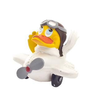 Duck Pilot