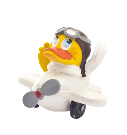 Canard Pilote d’avion