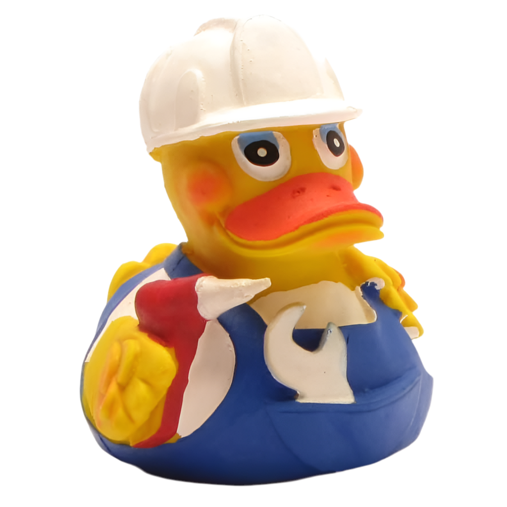 canard bricoleur lanco