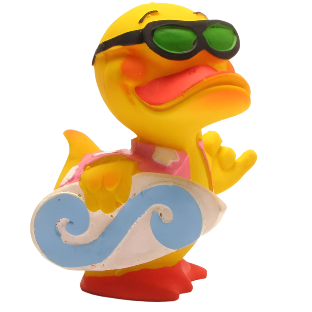 canard surfeur lanco