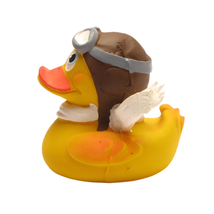 Aviator Duck