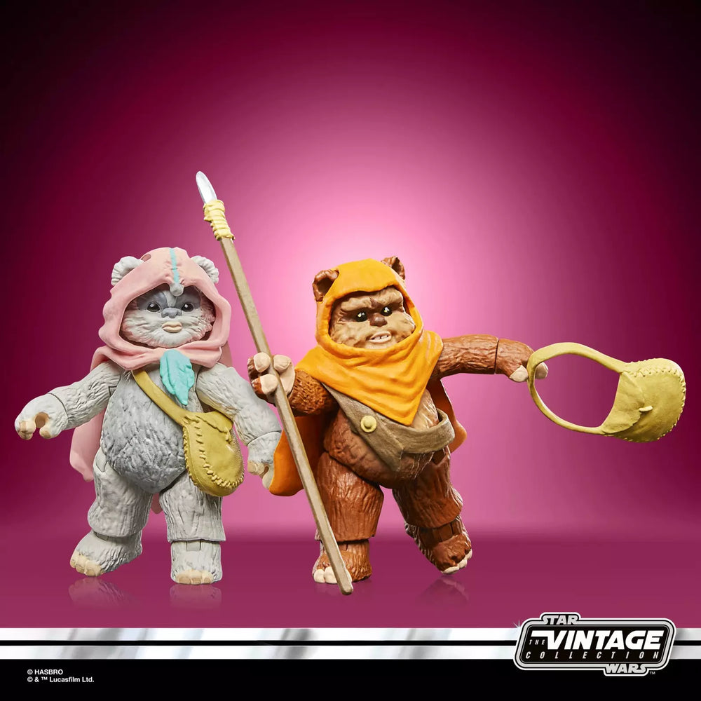 Star Wars De Vintage Collectie Wicket en Kneesaa