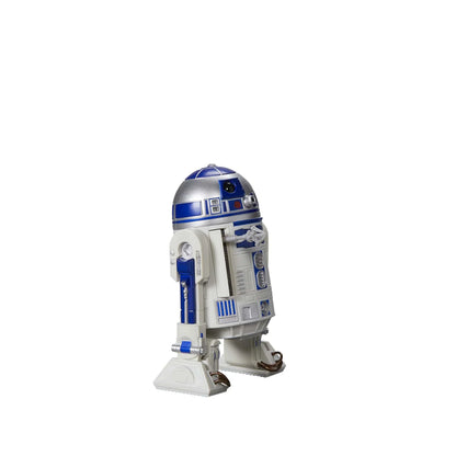 R2-D2 - De Zwarte Serie