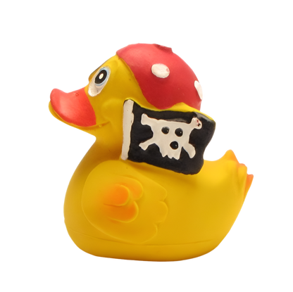 Pato pirata