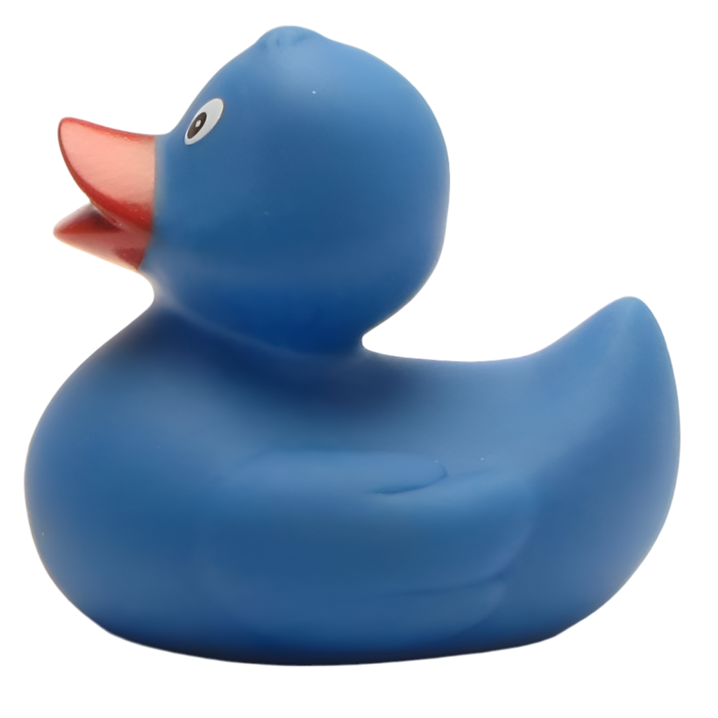 canard classique bleu