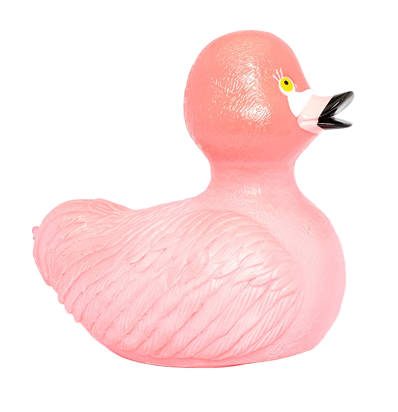Pato flamante rosa
