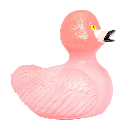 Pato flamante rosa