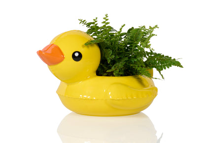Pot Floaty Canard