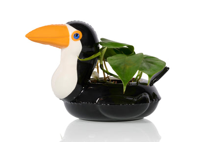 Pot Floaty Toucan