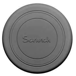 Gray Frisbee
