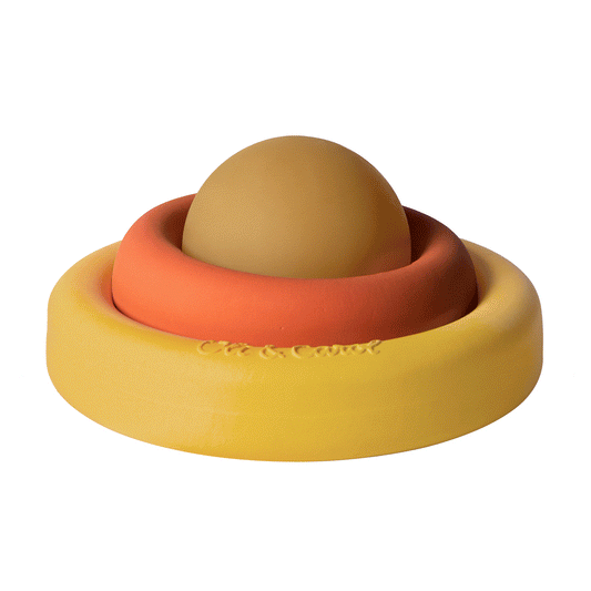 The Evolutive Toy