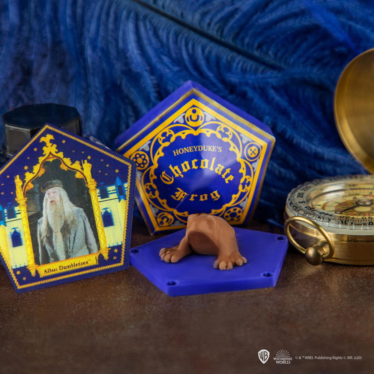 Harry Potter Schokofrosch