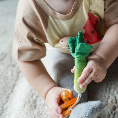 Fresh & Funky Pacifier Clips Set