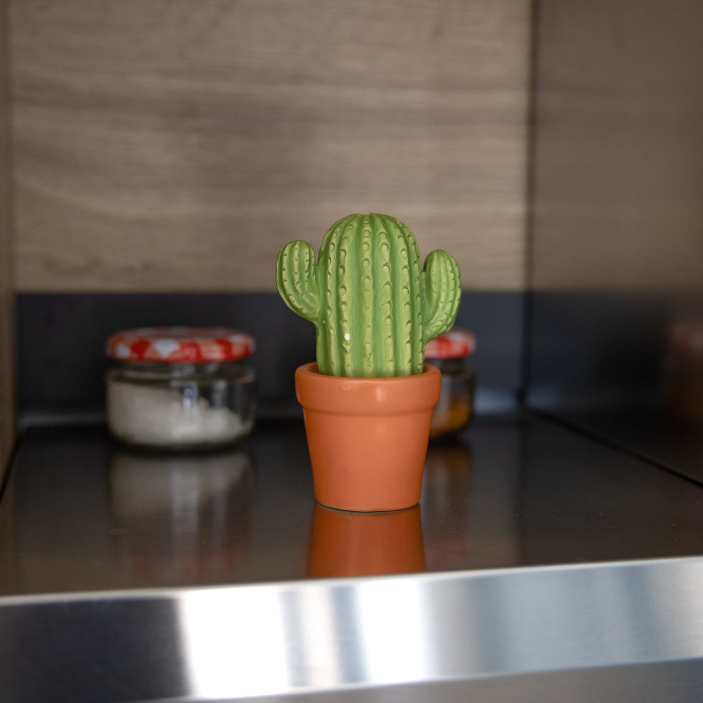 Sel et poivre Cactus