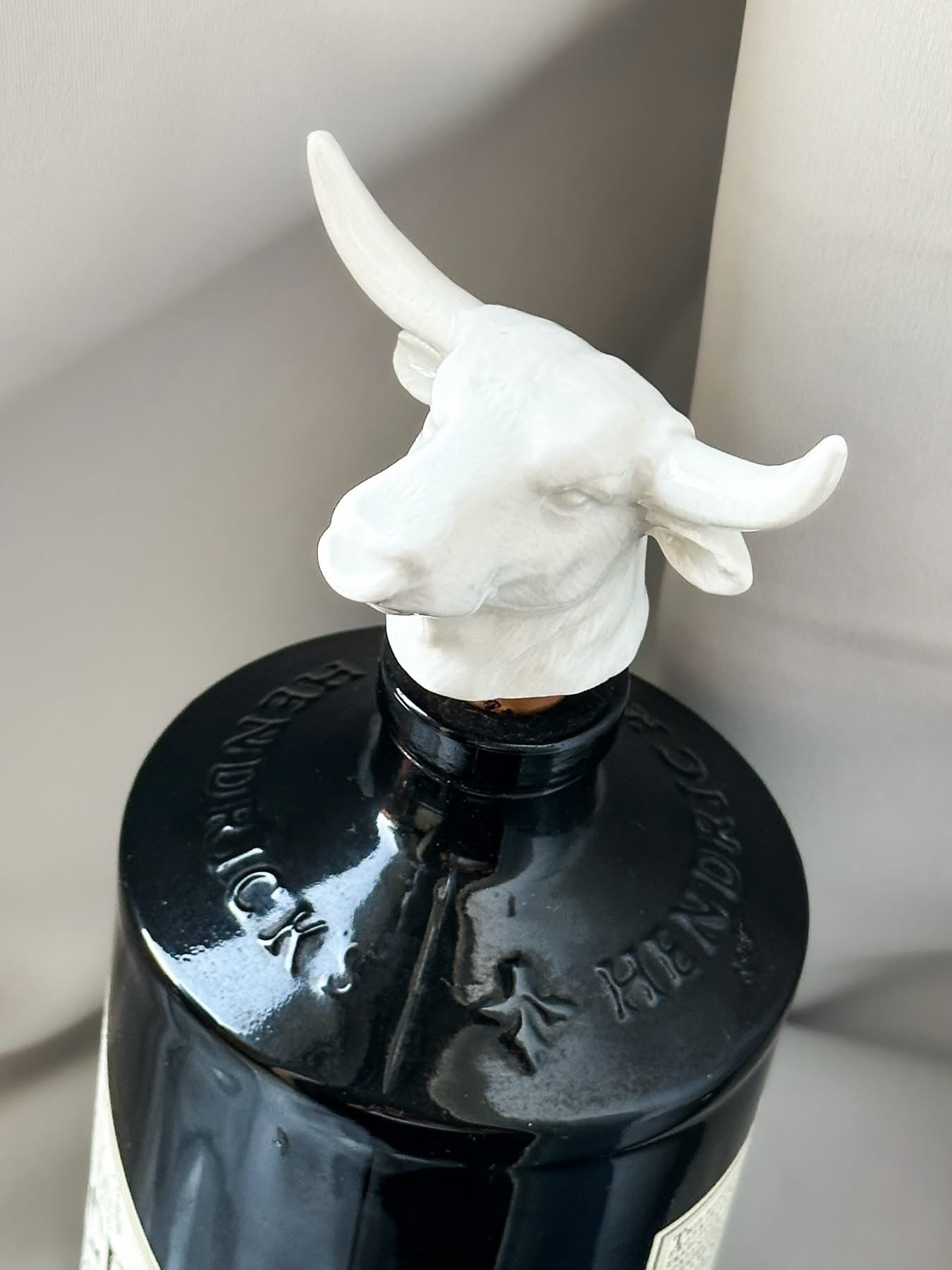 Stier Kurk