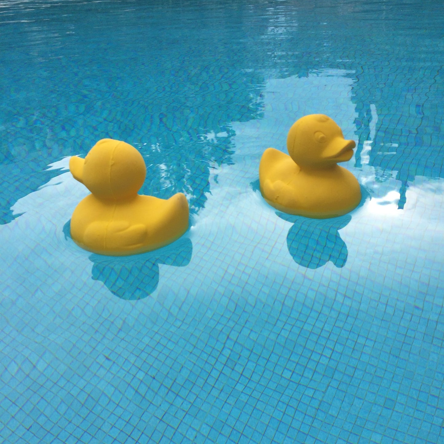 Elvis le canard jaune