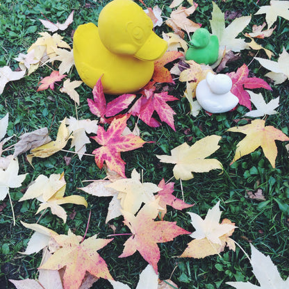 Elvis le canard jaune