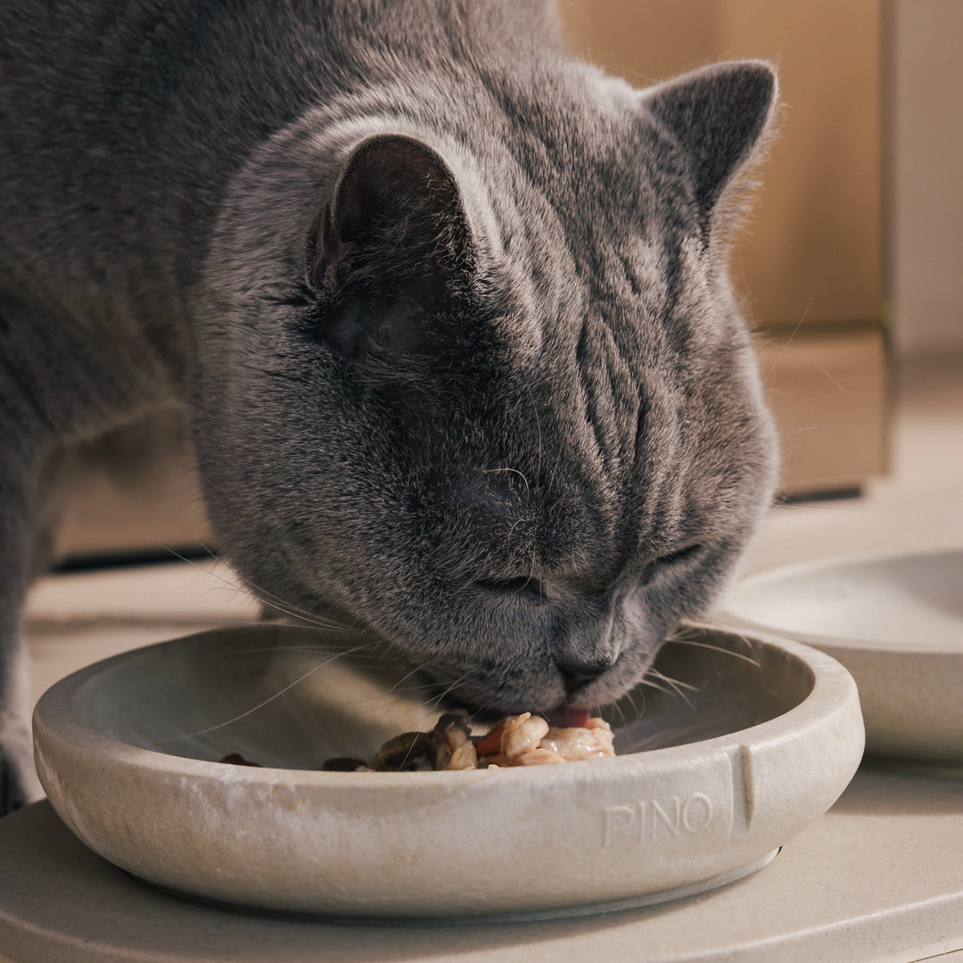 Ciotola salva-baffi – vista prodotto 13