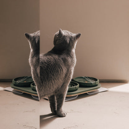 Slow Feeder Bowl for Cats – product view 15