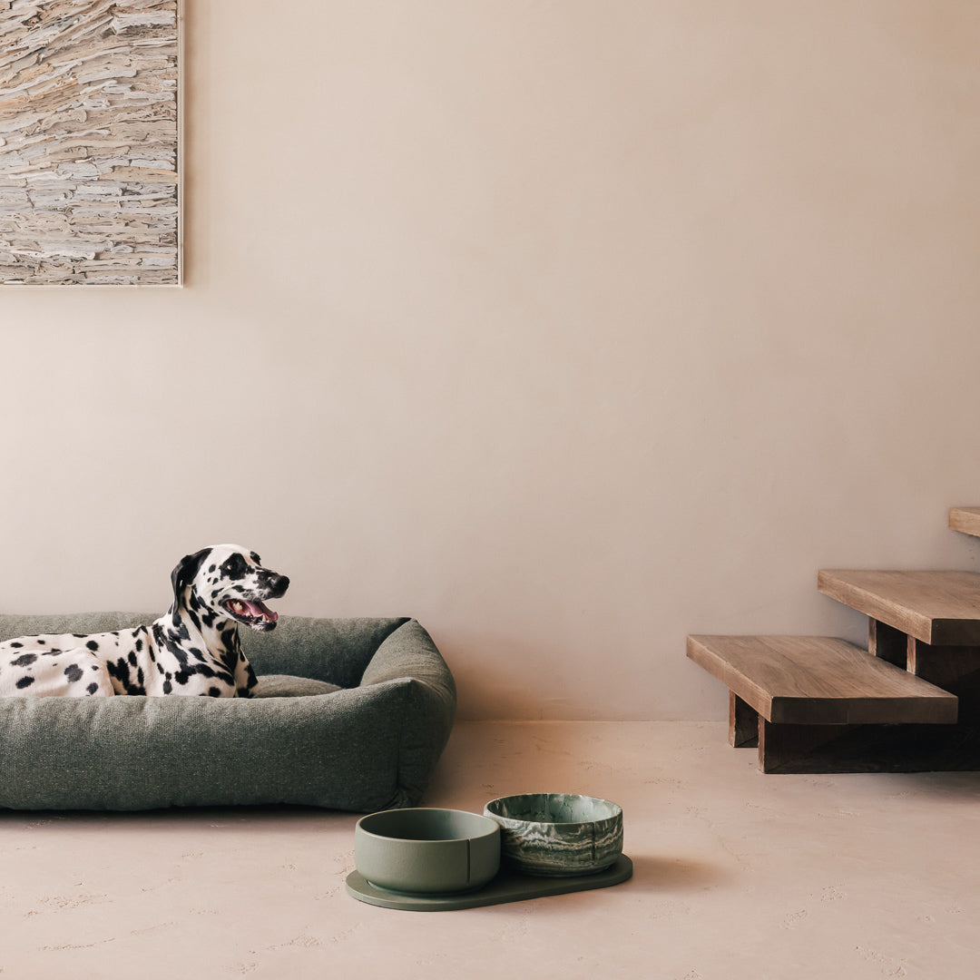 Plateau pour chiens – vue produit 49