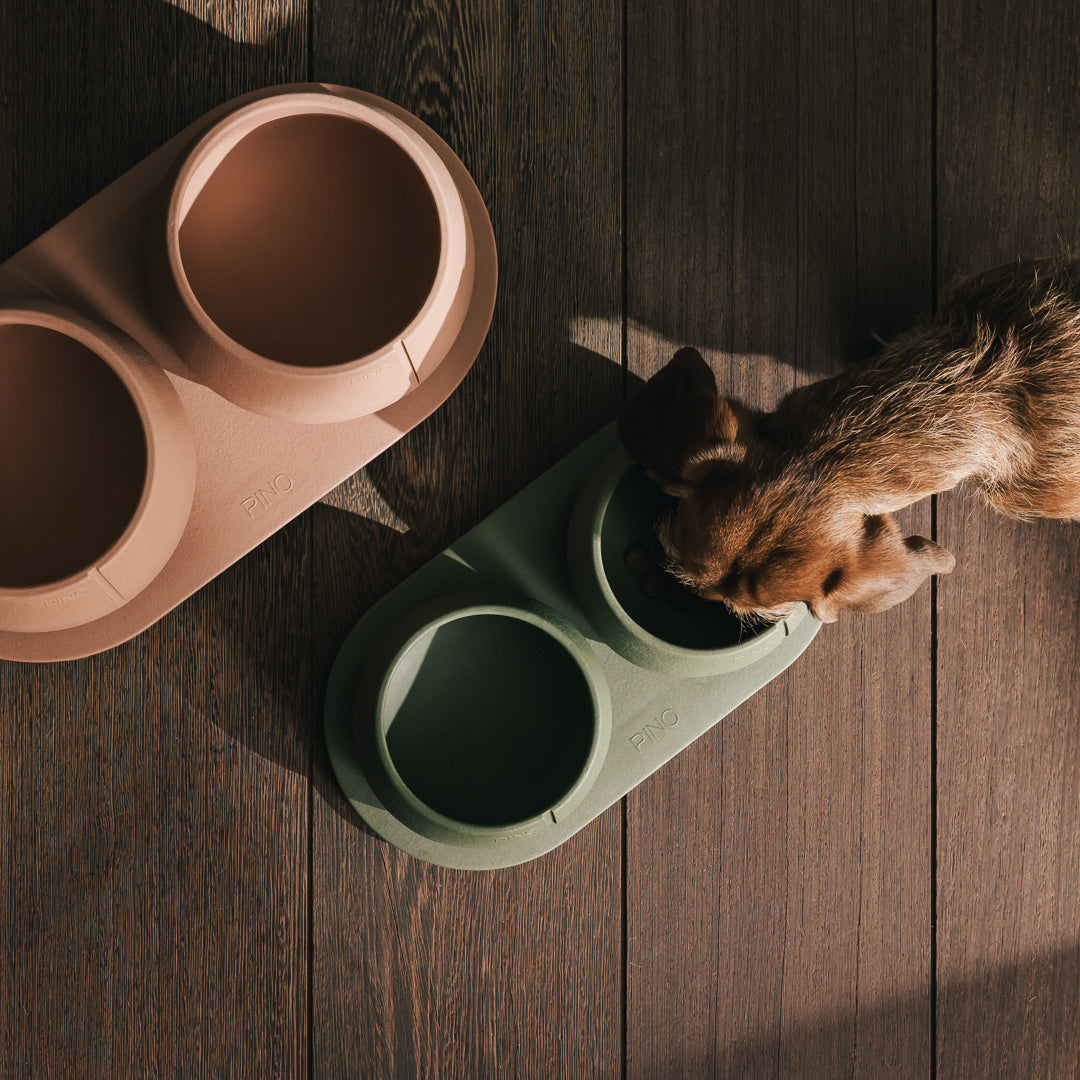Plateau pour chiens – vue produit 26
