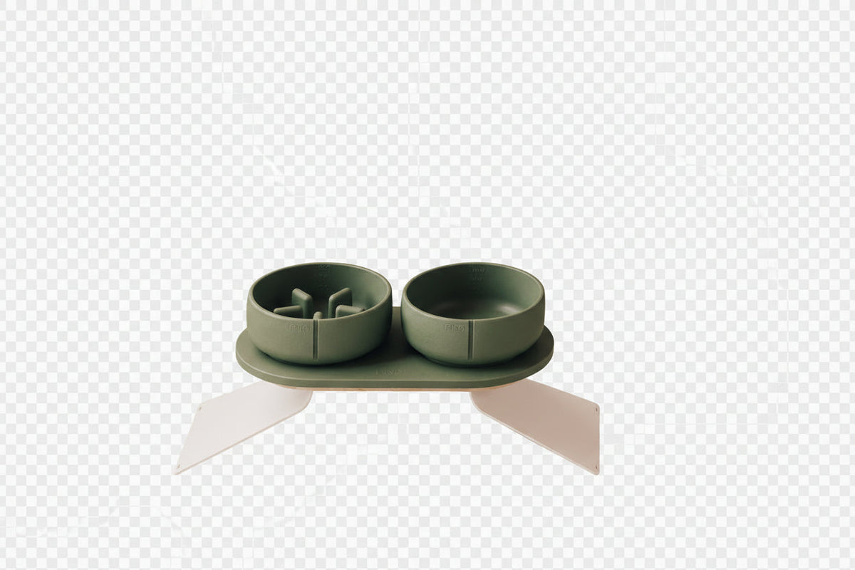 Gamelle classique – gamelles vertes sur support