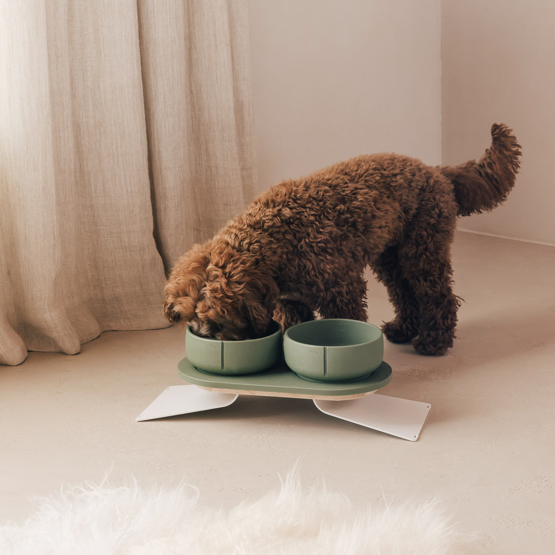 Plateau pour chiens – vue produit 50