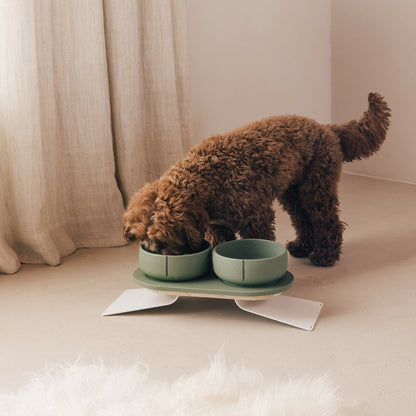 Plateau pour chiens – vue produit 50