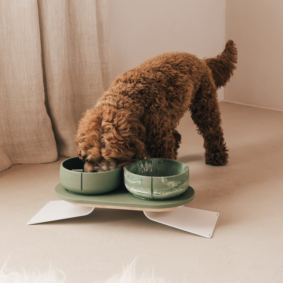 Set Perfect Posture per cani – vista prodotto 17