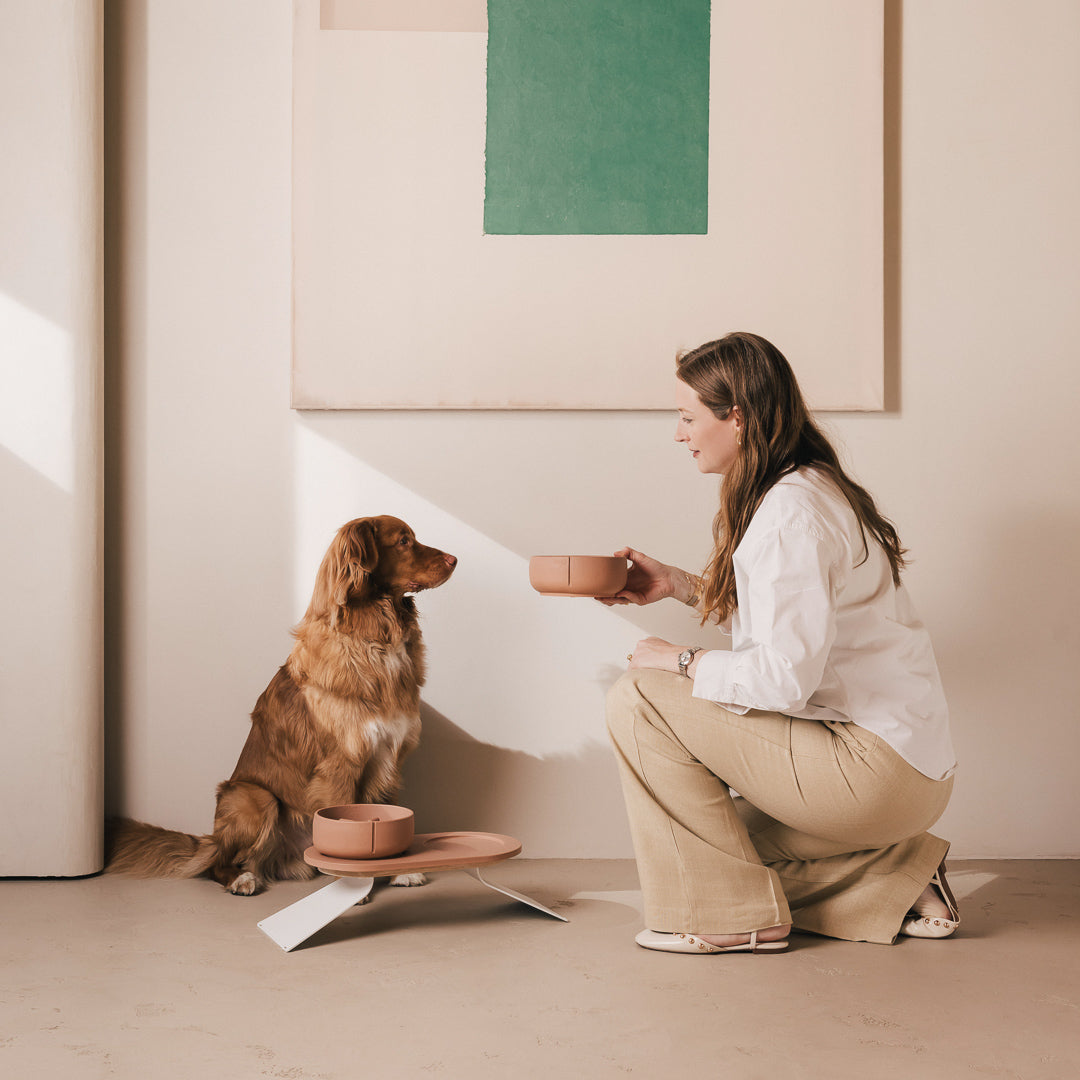 Plateau pour chiens – vue produit 53