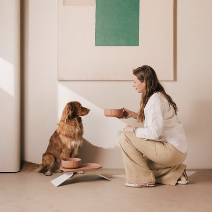 Plateau pour chiens – vue produit 53