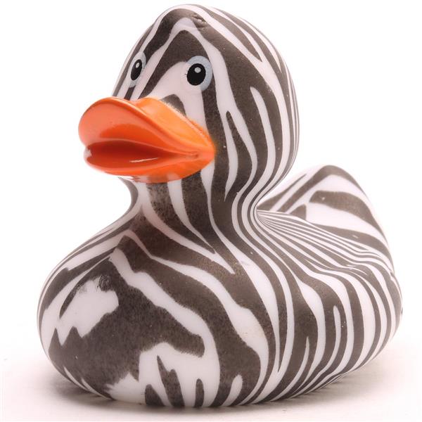 Pato cebra salvaje