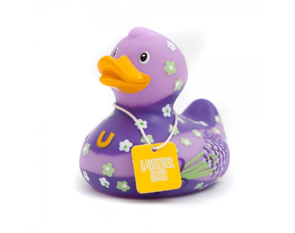 Pato lavanda