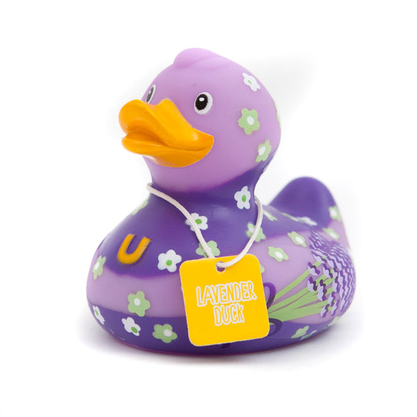 Pato lavanda