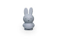Mealheiro da Miffy Rabbit - Edição Quente S
