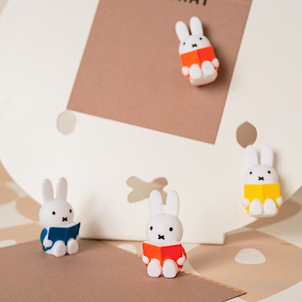 Livro de ímanes da Miffy Rabbit