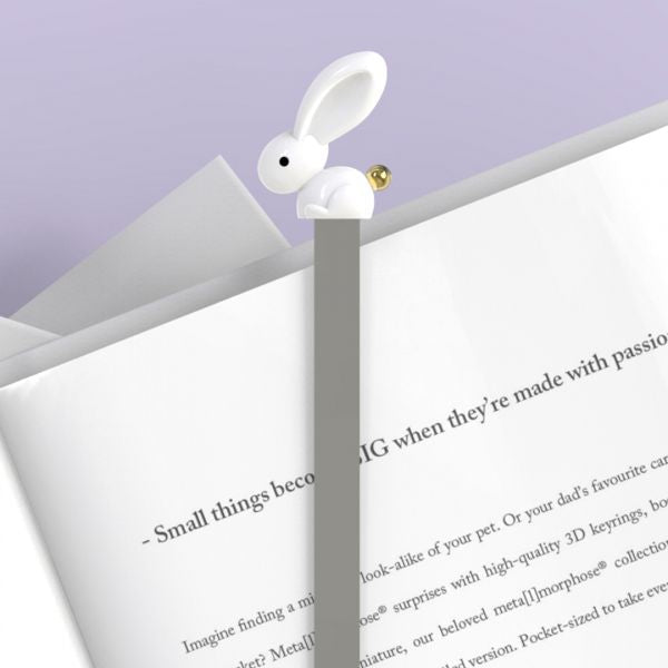 Página de Lapin