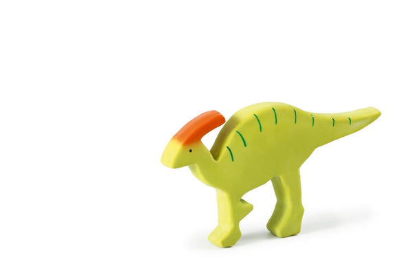 Mes Premiers Dinosaures